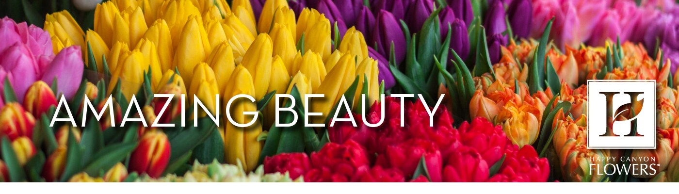 Flower Delivery to Denver by Happy Canyon Flowers